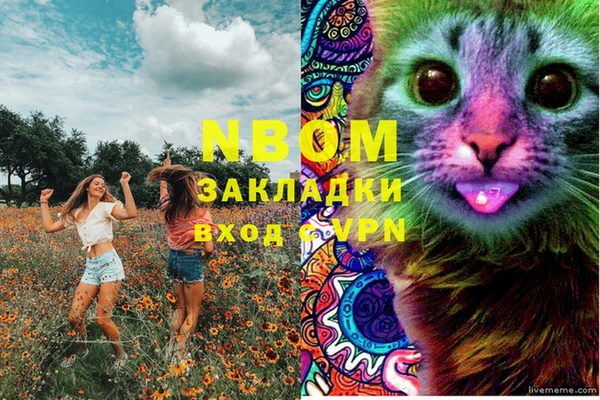 ALPHA PVP Бородино