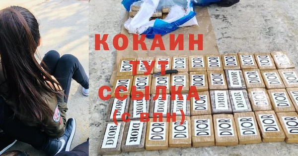 ALPHA PVP Бородино